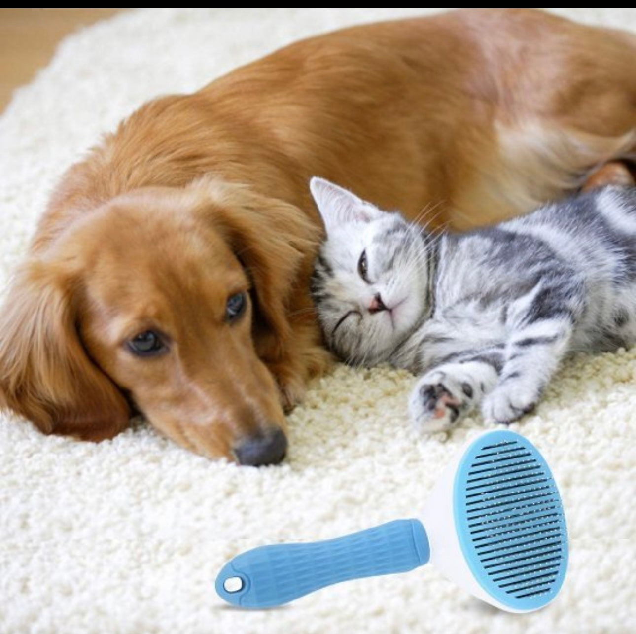 Pet Hair Remover Comb