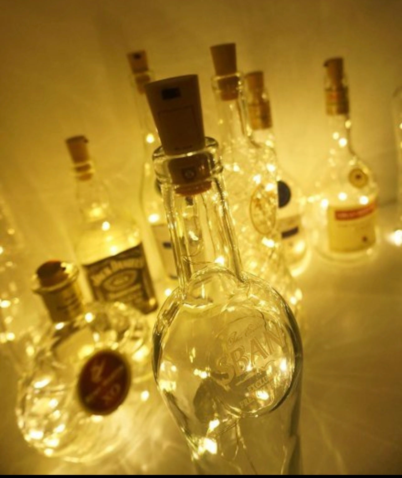 Bottle Light 20 LED 3 Pc