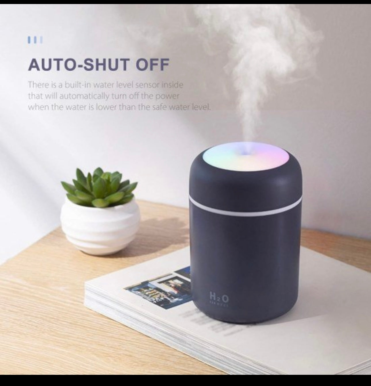 H2O Humidifier