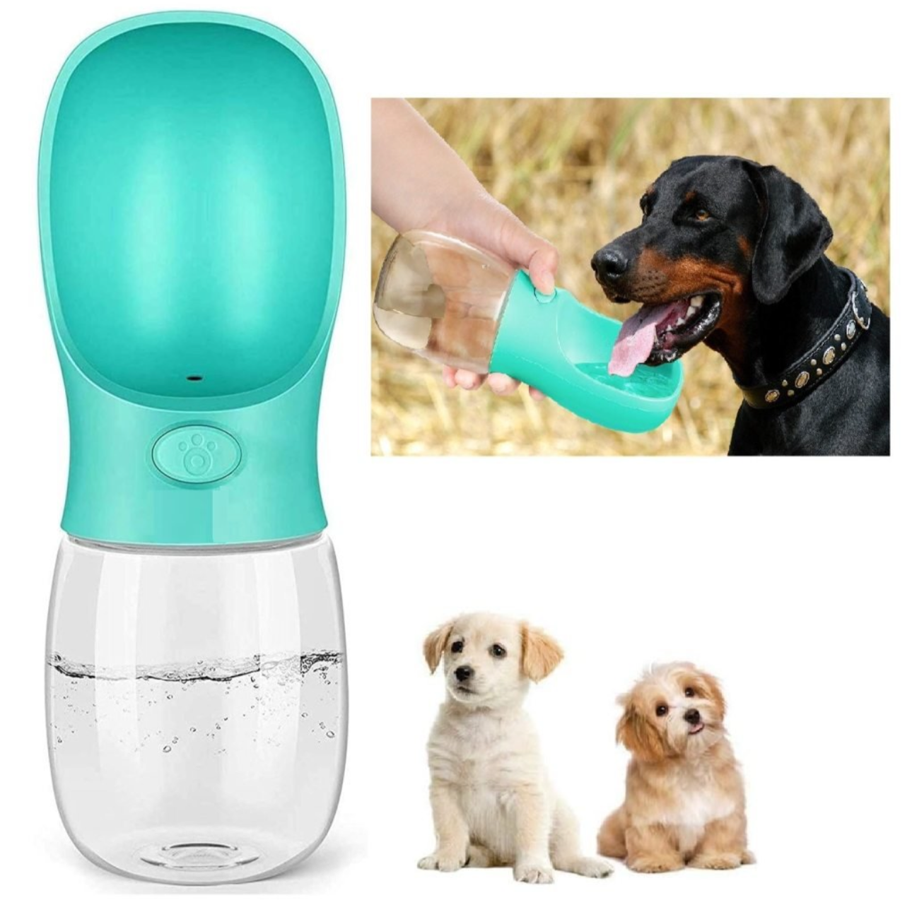 Pet Care Water Cup 350ml